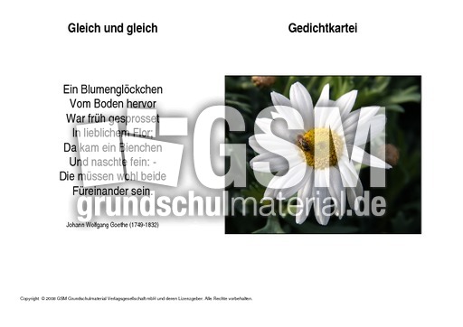 Gleich-und-gleich-Goethe.pdf